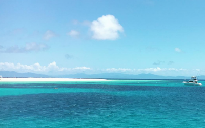 8 Free Things to do in Palm Cove